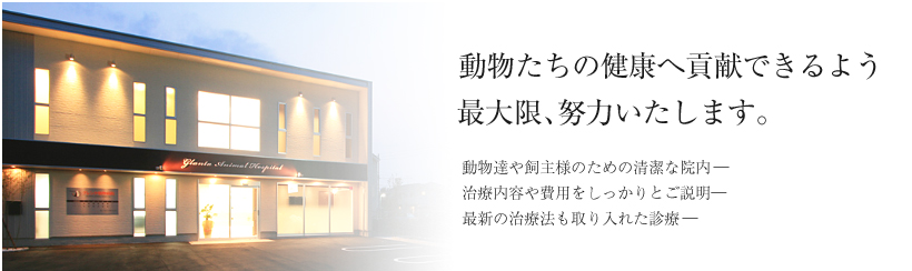 動物たちの健康へ貢献できるよう最大限、努力いたします。